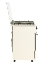 Плита газовая NORD GG 6064 YR