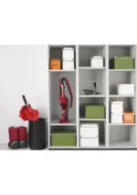 Вертикальный пылесос Gorenje SVC252GFR